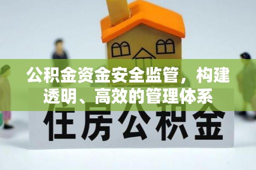 桃山公积金资金安全监管，构建透明、高效的管理体系