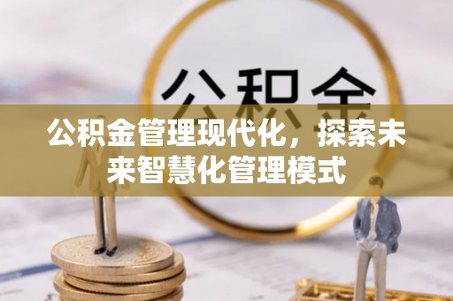 桃山公积金管理现代化，探索未来智慧化管理模式