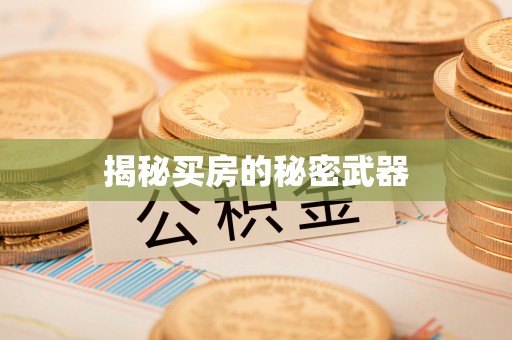 桃山揭秘买房的秘密武器