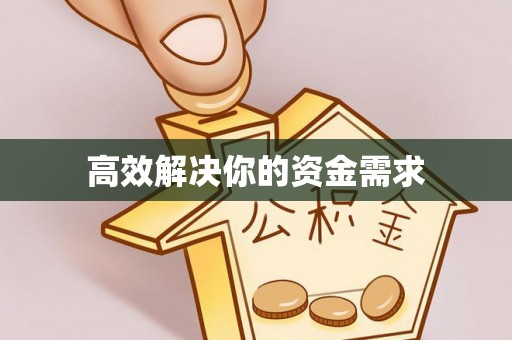 桃山高效解决你的资金需求