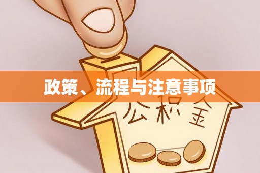 桃山政策、流程与注意事项
