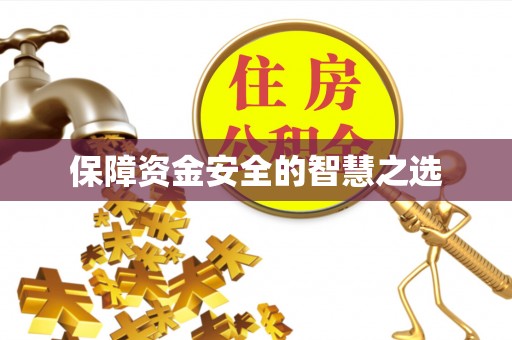 桃山保障资金安全的智慧之选