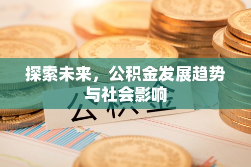 桃山探索未来，公积金发展趋势与社会影响