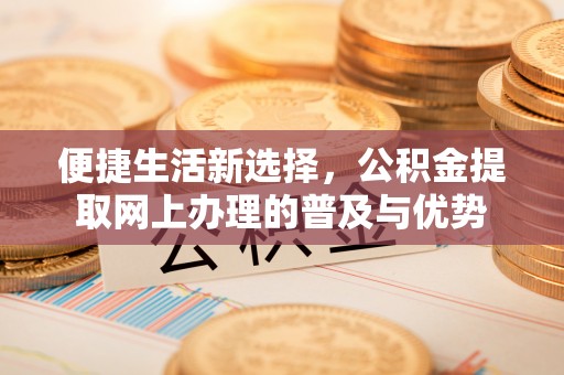 桃山便捷生活新选择，公积金提取网上办理的普及与优势