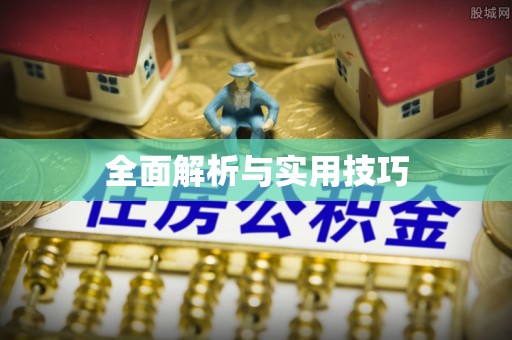 桃山全面解析与实用技巧