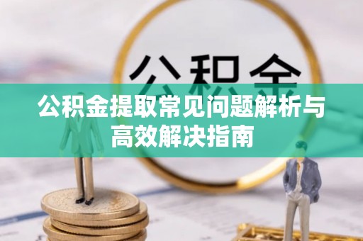 桃山公积金提取常见问题解析与高效解决指南