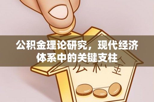 桃山公积金理论研究，现代经济体系中的关键支柱