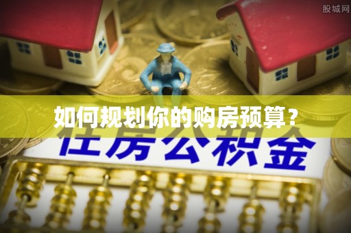 桃山如何规划你的购房预算？