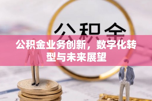 桃山公积金业务创新，数字化转型与未来展望