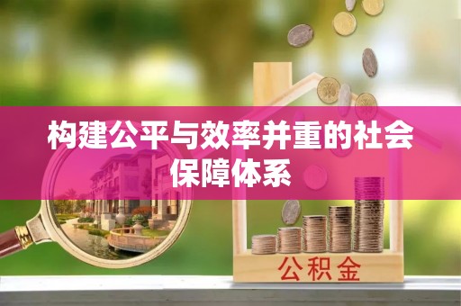 桃山构建公平与效率并重的社会保障体系