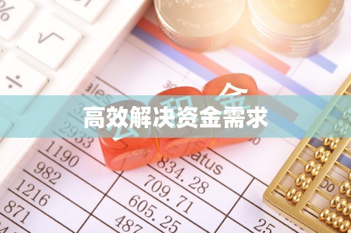 桃山高效解决资金需求