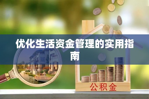 桃山优化生活资金管理的实用指南