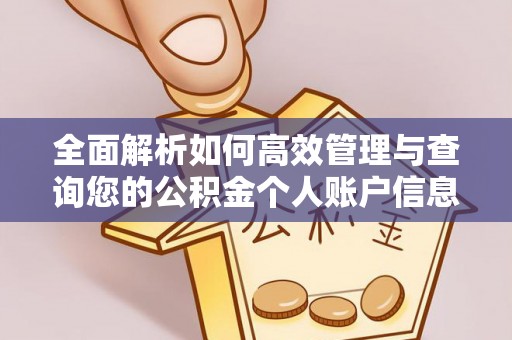 桃山全面解析如何高效管理与查询您的公积金个人账户信息