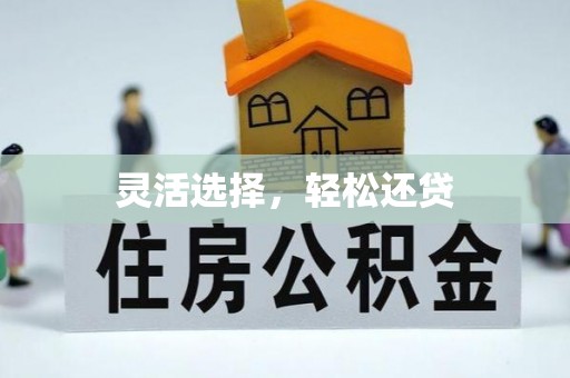 桃山灵活选择，轻松还贷