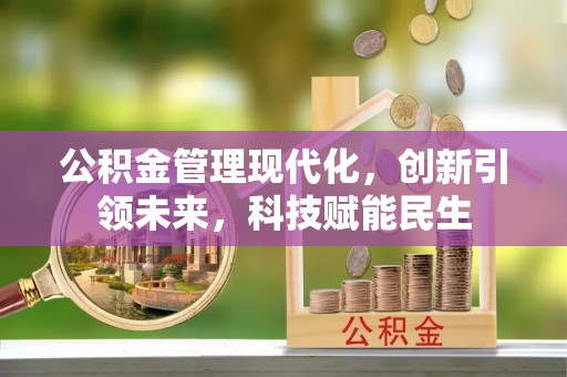 桃山公积金管理现代化，创新引领未来，科技赋能民生