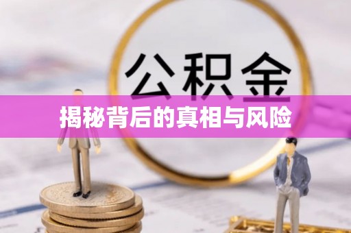 桃山揭秘背后的真相与风险