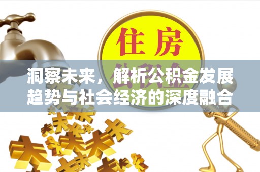 桃山洞察未来，解析公积金发展趋势与社会经济的深度融合