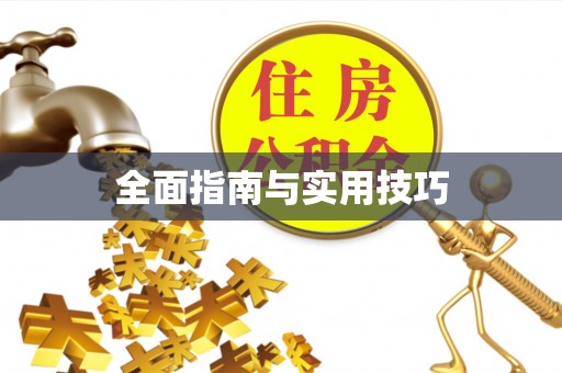 桃山全面指南与实用技巧