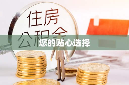 桃山您的贴心选择