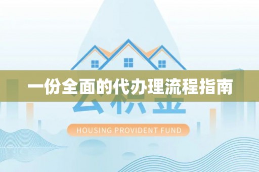 桃山一份全面的代办理流程指南