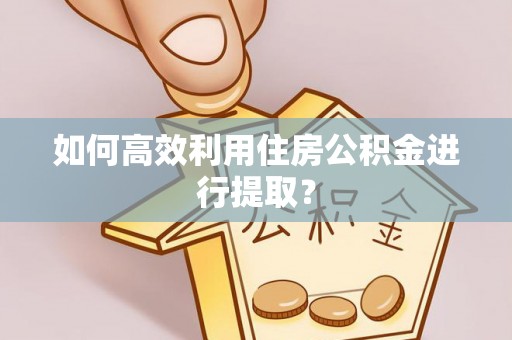 桃山如何高效利用住房公积金进行提取？