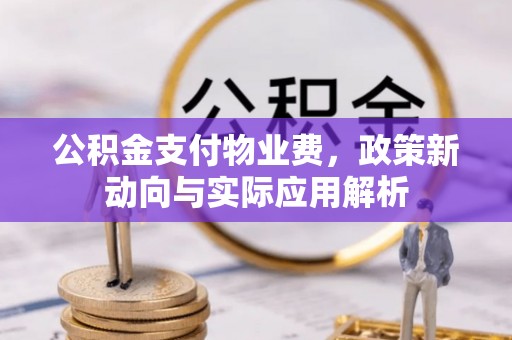 桃山公积金支付物业费，政策新动向与实际应用解析