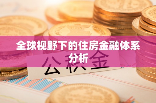 桃山全球视野下的住房金融体系分析