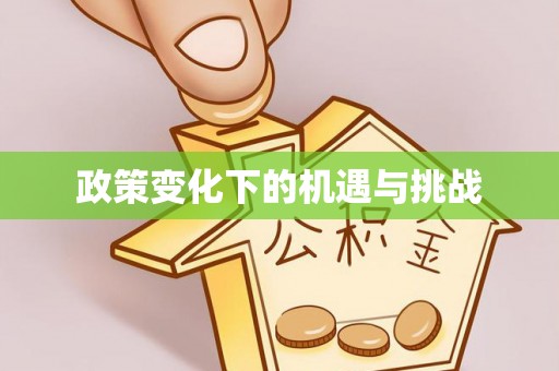 桃山政策变化下的机遇与挑战