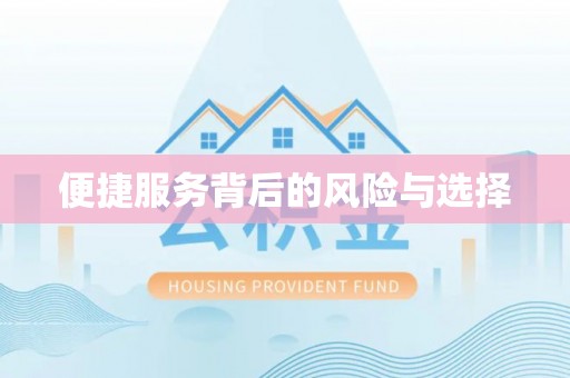 桃山便捷服务背后的风险与选择