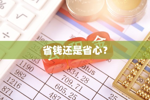 桃山省钱还是省心？
