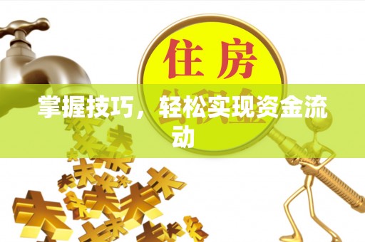 桃山掌握技巧，轻松实现资金流动