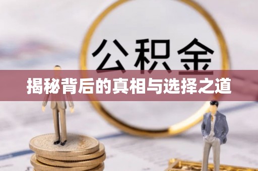 桃山揭秘背后的真相与选择之道