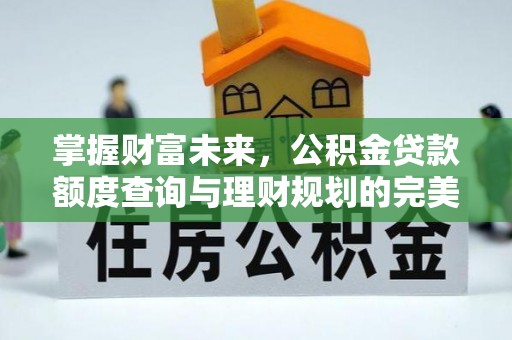 桃山掌握财富未来，公积金贷款额度查询与理财规划的完美结合