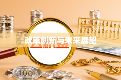 桃山政策创新与未来展望