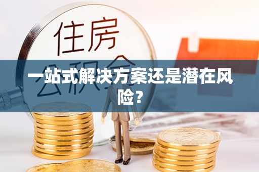 桃山一站式解决方案还是潜在风险？