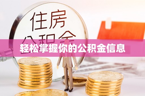 桃山轻松掌握你的公积金信息