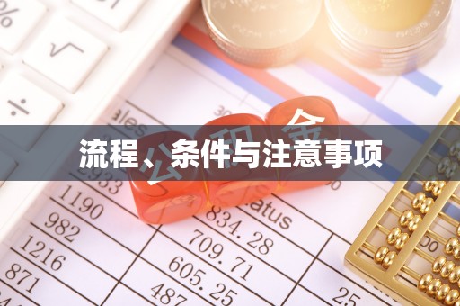 桃山流程、条件与注意事项
